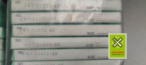 IMG_20230829_171029_BURST1